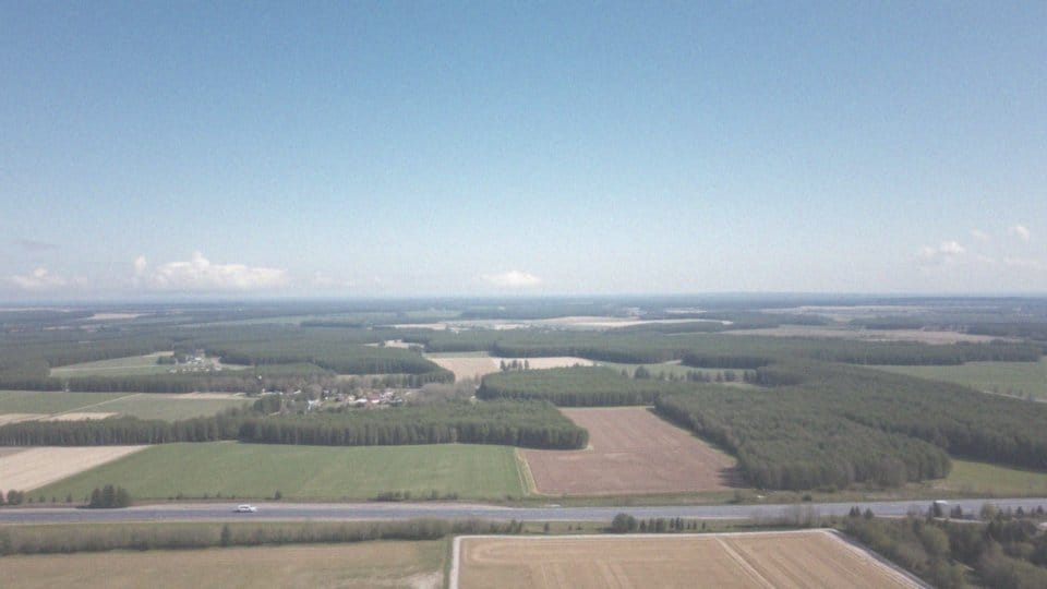 Jakie są główne kategorie stref zakazu lotów dla dronów?