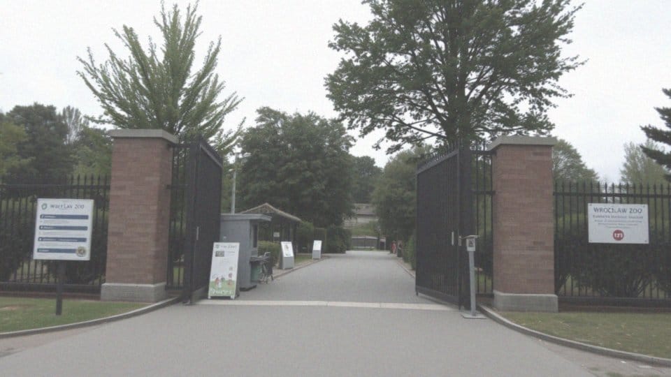 Jakie są zasady wejścia na teren ZOO Wrocław?