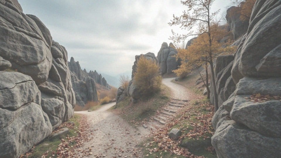 Jakie są najpopularniejsze szlaki turystyczne w Górach Stołowych?